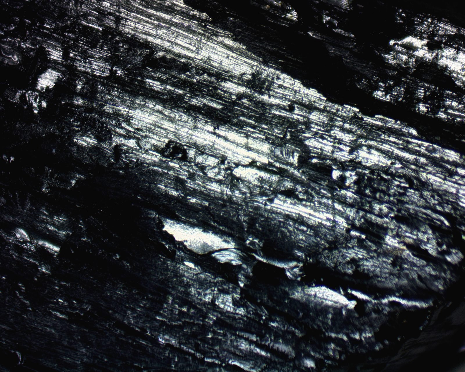 Close-up of anthracite coal, glassy black with bright reflections